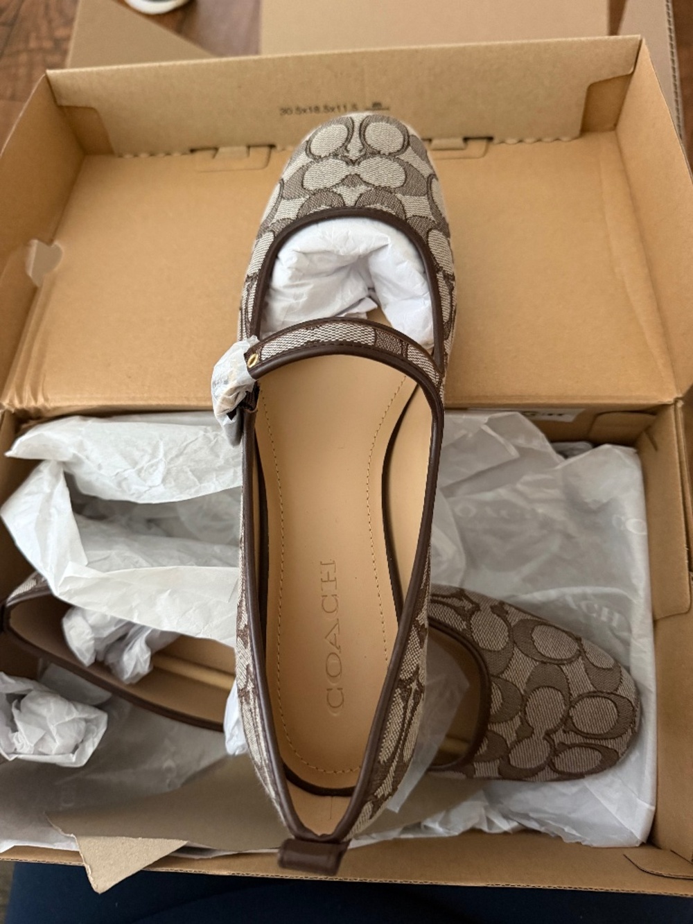 NWT COACH MARY JANE LIMITED EDITION SHOES FLATS